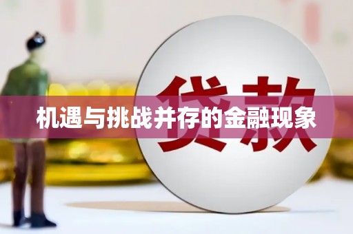沈河机遇与挑战并存的金融现象