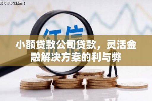 迁安市小额贷款公司贷款，灵活金融解决方案的利与弊