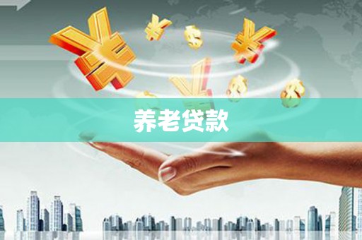 修文养老贷款